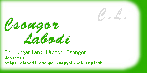 csongor labodi business card